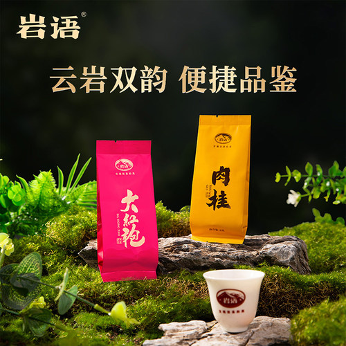 肉桂大红袍茶叶乌龙茶岩茶试喝