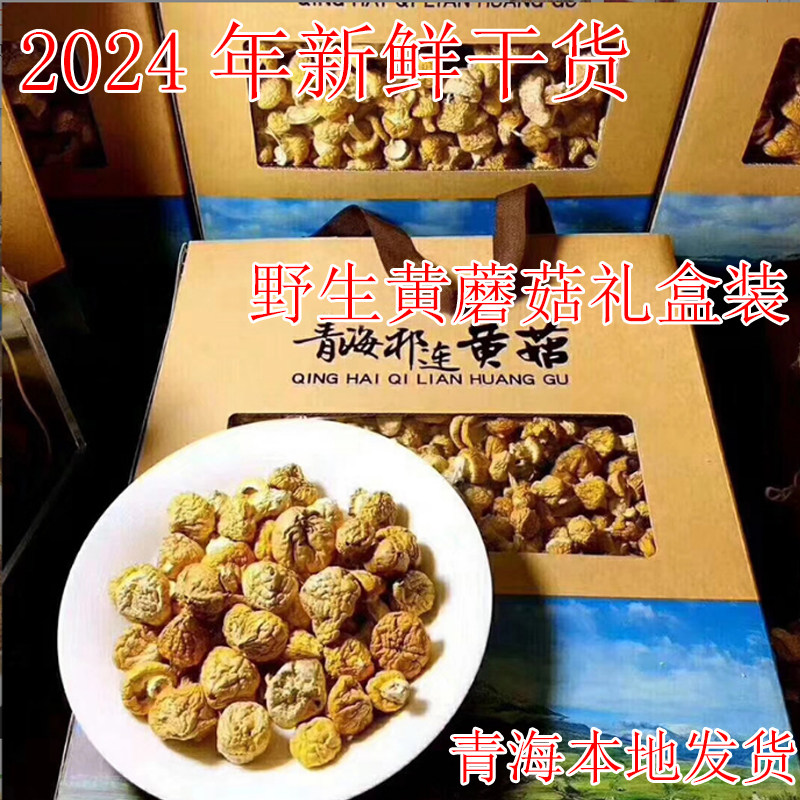 2024年青海特产高海拔祁连山草原新鲜干货野生黄菇雪山皇帝菇钉菇