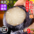 正宗东北冻梨大黑梨特产当季 冬梨新鲜水果延边苹果梨花盖秋梨