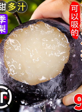 正宗东北冻梨大黑梨特产当季冬梨新鲜水果延边苹果梨花盖秋梨