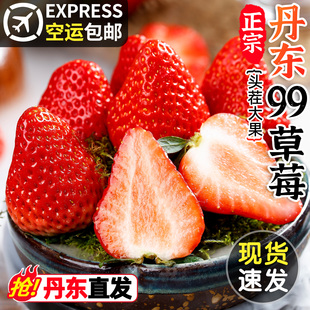正宗丹东99草莓新鲜红颜东港九九奶油草莓甜牛奶草莓水果礼盒空运