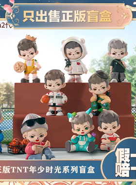 正版TNTRayan年少时光系列盲盒潮玩具手办可爱摆件男生节日小礼物