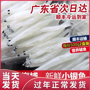 银鱼新鲜淡水小白条鱼潮汕海鲜水产孕妇儿童宝宝辅食海鱼大面条鱼