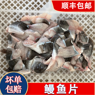 鳗鱼片新鲜海鳗鱼潮汕海鲜