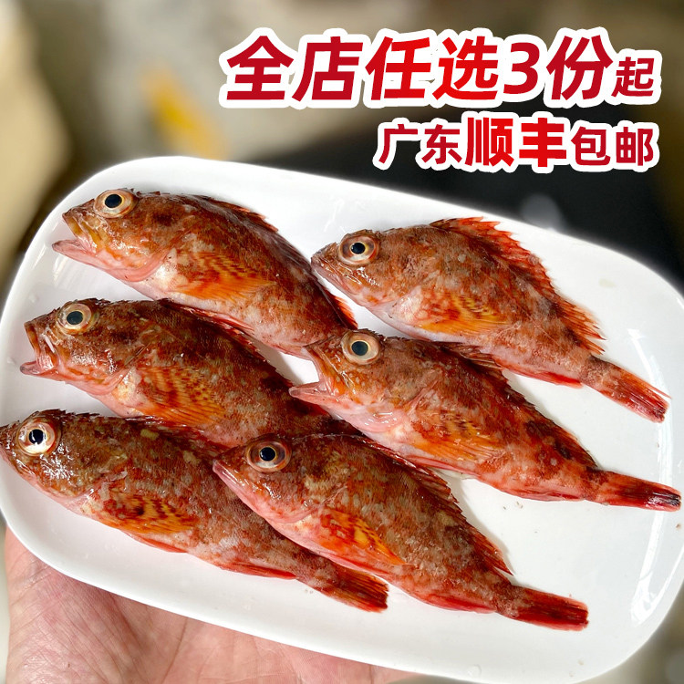 潮汕海鱼小红斑煲汤石九公石翁鱼