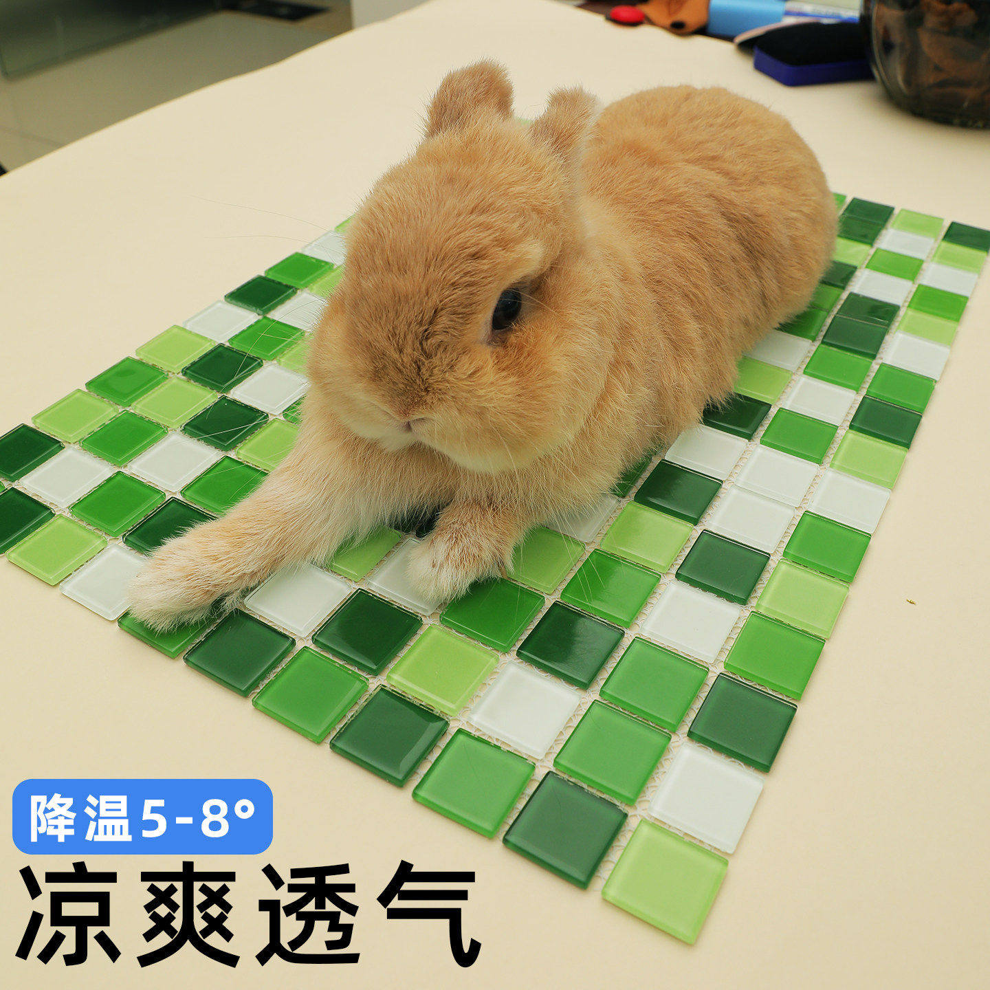 兔子冰垫消暑冰垫龙猫降温用品宠物降温板散热仓鼠荷兰猪兔子冰窝