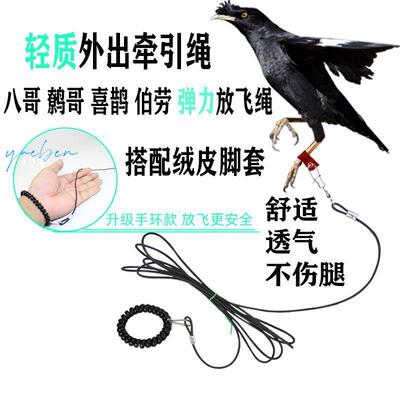 包邮鸟脚链皮套脚环鹦鹉护脚喜鹊乌鸦八哥鹩哥鹰鸽子单脚套鸟链