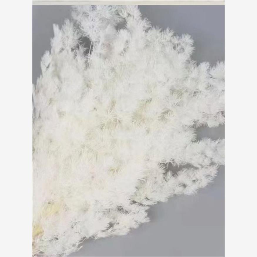 云南蓬莱松diy永生花干花客厅居家装饰软装礼盒diy花材网红花束