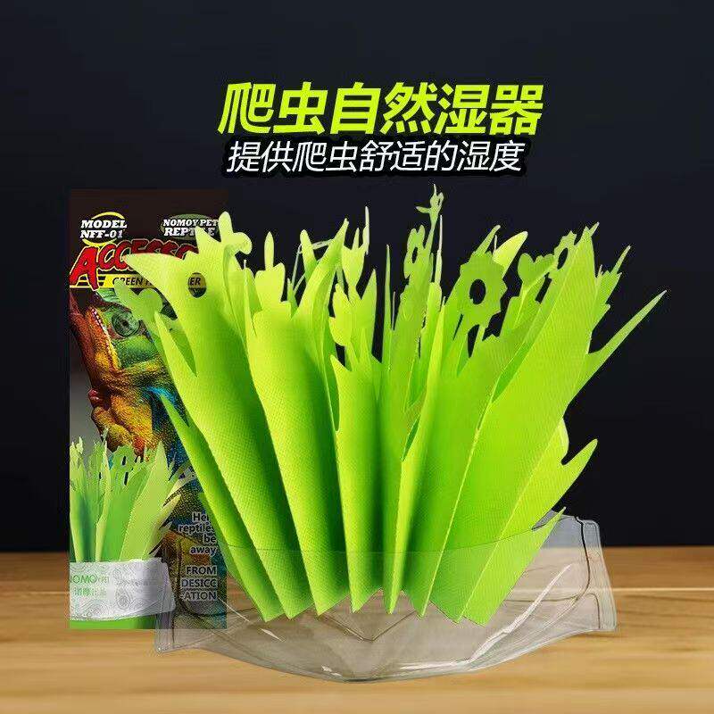 爬虫鹦鹉加湿器自然气化加湿保湿仿真植物环保不插电增湿器造景