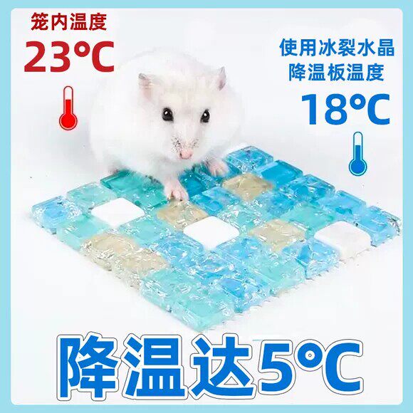仓鼠夏天降温用品散热板宠物金丝熊龙猫兔子凉席垫避暑冰屋