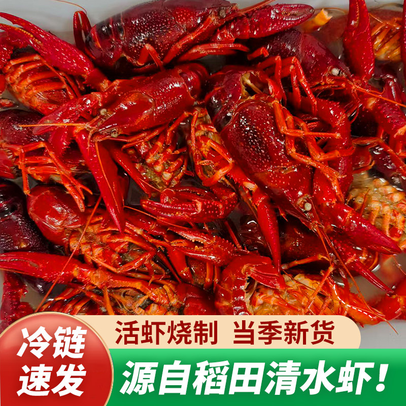 清水小龙虾活虾青壳虾红头虾半成品商用批发水产生鲜大虾真空包装