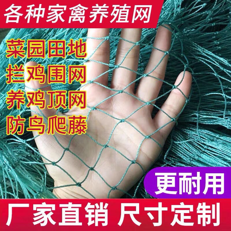 2022新款养鸡网养殖网养鸡围网拦鸡网养鸡天网围鸡网养鸡围栏网养