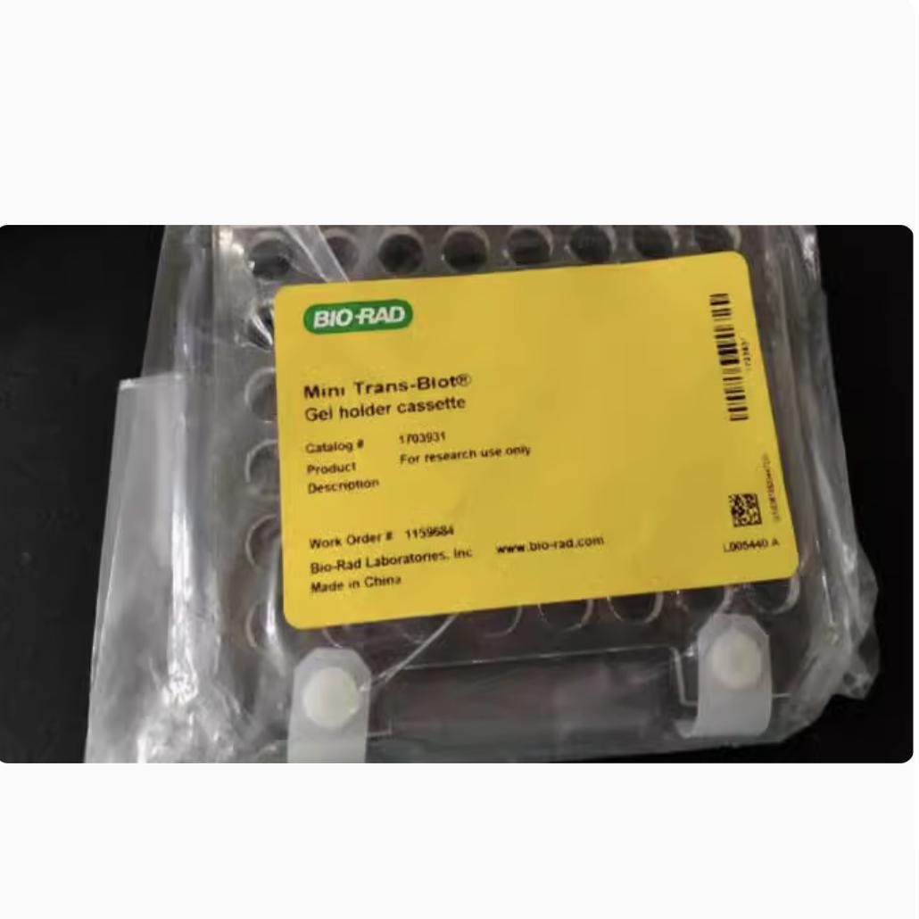 原装Bio-Rad伯乐电泳1703931转膜夹 伯乐凝胶支架转印夹1703931,工业油品/胶粘/化学/实验室用品,其他实验室设备,淘宝优惠券,粉丝福利购,淘宝优惠卷