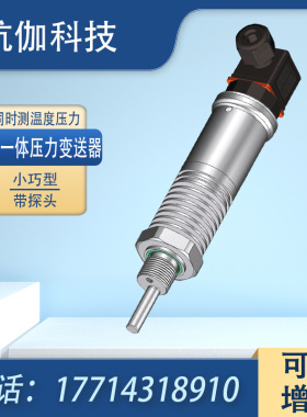HPTM189温压一体变送器高精度温度压力传感器高温型4~20mA/RS485