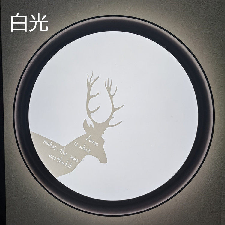 网红款 简约现代灯 个性房间灯 LED吸顶灯 2022新款卧室灯