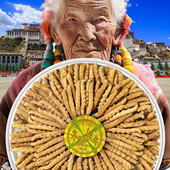 首养堂冬虫夏草官方旗舰店正品 头期干货3根 克虫草礼盒20克滋补品