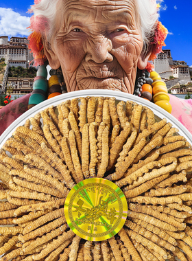 首养堂冬虫夏草官方旗舰店正品头期干货3根/克虫草礼盒20克滋补品