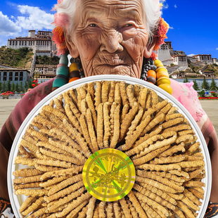 首养堂冬虫夏草官方旗舰店正品 克虫草礼盒20克滋补品 头期干货3根