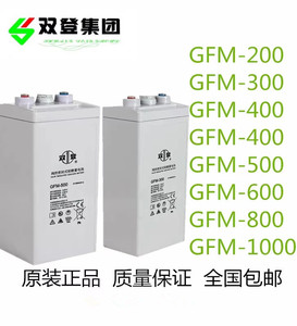 双登蓄电池GFM-200通讯电源2V300AH400AH500AH600AH800AH1000AH