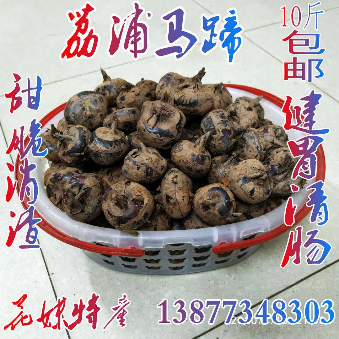 花妹特产广西桂林马蹄荔浦马蹄荸荠大果新鲜农家自种消渣5斤10斤