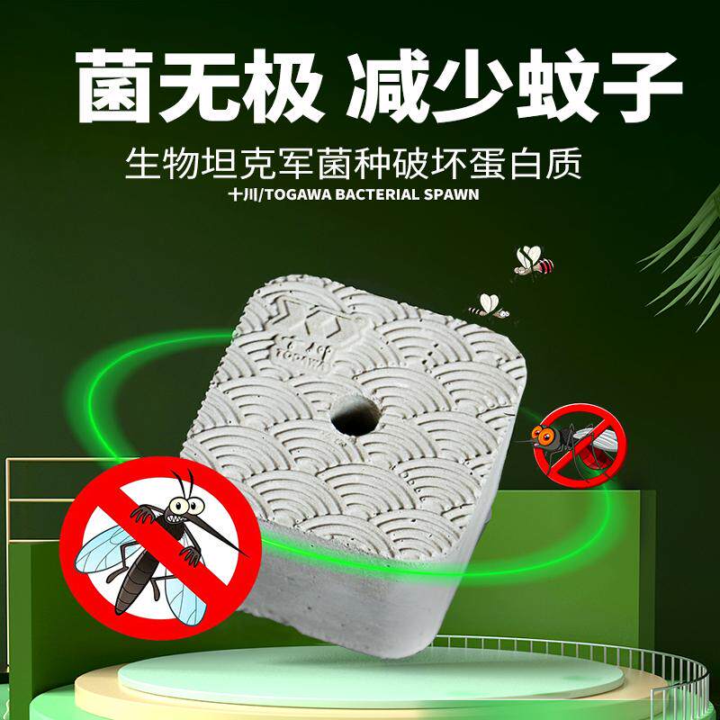 十川菌砖鱼缸庭院锦鲤鱼池蚊子多驱蚊灭蚊切断幼虫孑孓鱼池营养源