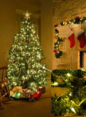 Christmas Lights 5M 10M 20M 30M 50M 100M Led String Fairy