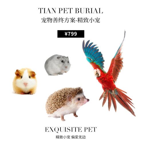 宠物火化服务乌龟兔子殡葬善终
