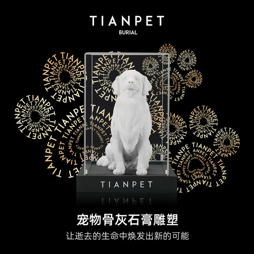 替代传统宠物骨灰盒可溶宝贝骨灰