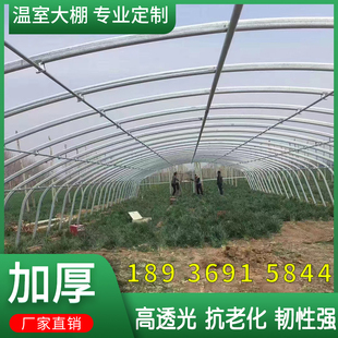 种植钢架蔬菜半坡大棚骨架钢管全套连栋温室定制暖棚养殖鸡鸭猪羊