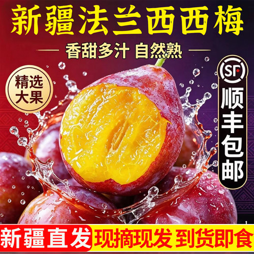 新疆法兰西西梅现摘应季新鲜水果