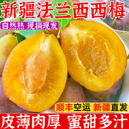 新疆西梅正宗喀什法兰西西梅鲜果当季现摘李子新鲜水果批发整箱