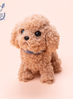 sunlemon仿真可爱贵宾犬毛绒玩偶狗狗公仔小泰迪玩具博美礼物娃娃
