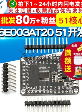 N76E003AT20 51开发板 51核心板 N76E003开发板单片机