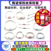 电饭锅电饭煲陶瓷温度保险丝保险管配件电阻rf216度10A 250V 20A