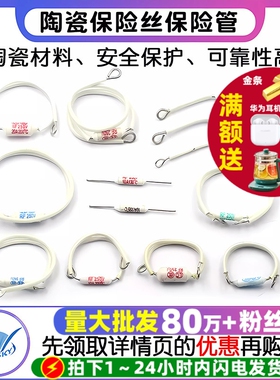 电饭锅电饭煲陶瓷温度保险丝保险管配件电阻rf216度10A 20A 250V