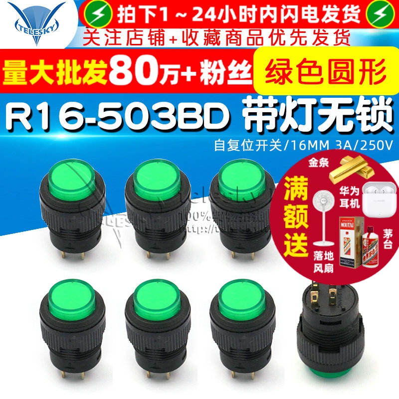 R16-503BD带灯无锁/自复位开关