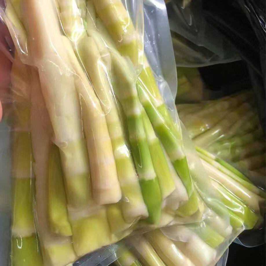 苦笋八乡新鲜农家超苦味客家丰顺大罗特产山货香脆梅州美食