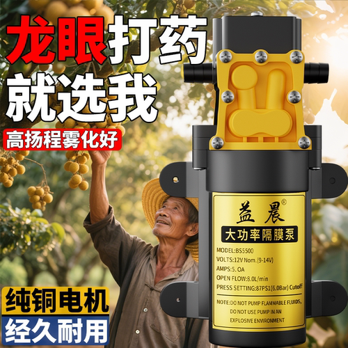 龙眼打药泵8升增压打的更高更远