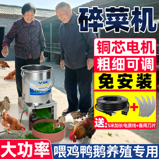 碎菜机家用喂鸡鸭鹅养殖小型桶式 大功率电动不锈钢多功能 农用新款