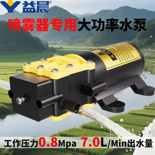 12v水泵电动喷雾器配件大全高压新款隔膜泵农用大功率电机打药机