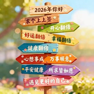 2026新年彩色立式指向指示牌创意定制指示牌防腐木质引路牌宣传牌