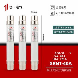 高压熔断器XRNT1012KV5A10A16A25A31.5A40高分断限流熔断管保险丝