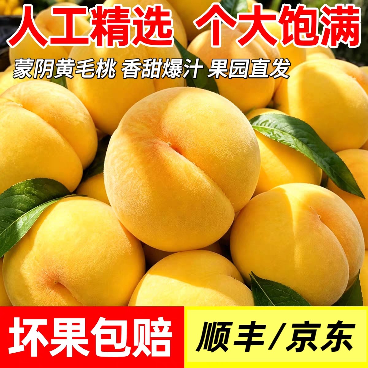 正宗山东蒙阴黄金毛桃新鲜大蜜桃当季现摘发脆甜多汁孕妇水果顺丰