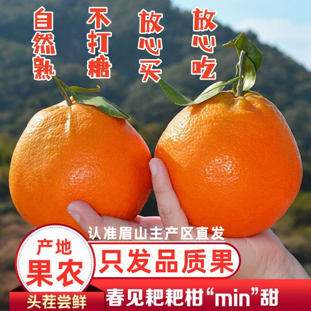 正宗四川眉山耙耙柑新鲜水果当季现摘现发粑粑柑橘子产地直发,水产肉类/新鲜蔬果/熟食,桔子,淘宝优惠券,粉丝福利购,淘宝优惠卷