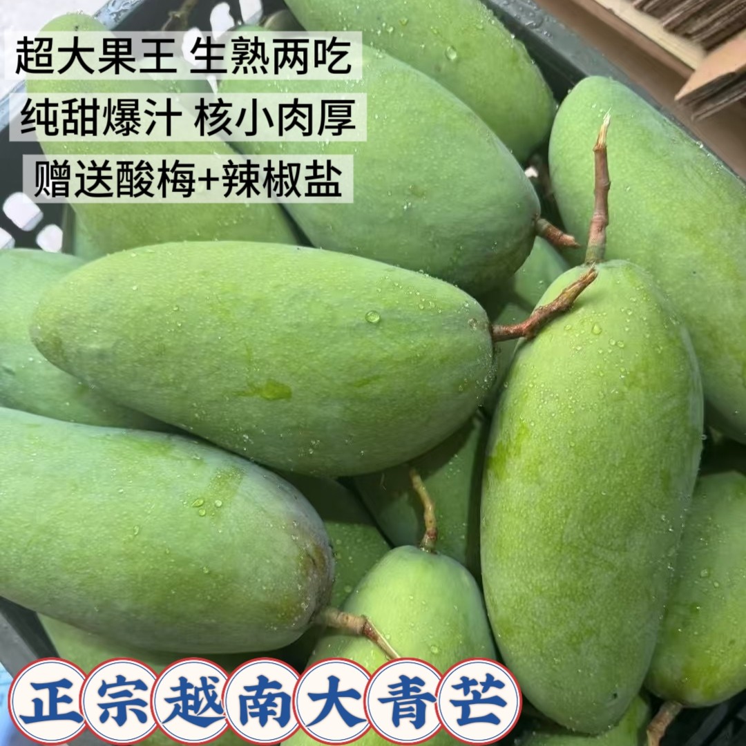 正宗越南进口大青芒当季青皮大芒果生熟两吃脆甜芒新鲜水果特大果