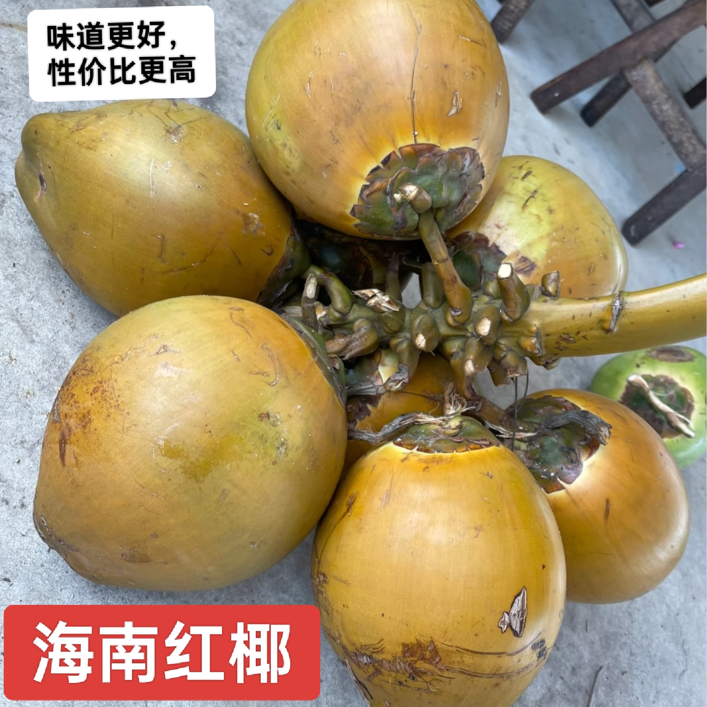 海南红椰带皮椰子新鲜椰青现摘