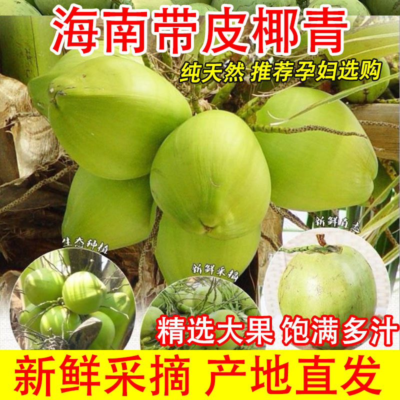 海南新鲜带皮青椰子大果纯天然
