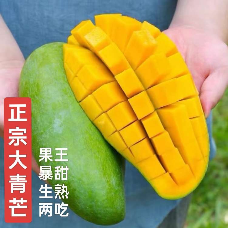 正宗越南大青芒果甜心芒果进口青皮金煌芒新鲜水果应季特大果10斤