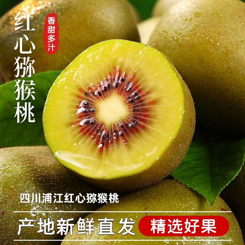四川蒲江红心猕猴桃新鲜水果大当应季奇异果孕妇果园直发现摘包邮