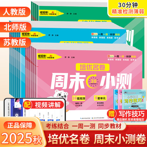 2025新版小学周末小测卷单元考卷